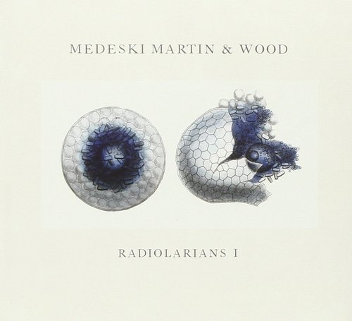 Medeski Martin &amp; Wood / Radiolarians 1 (DIGI-PAK)