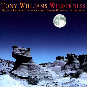 Tony Williams / Wilderness